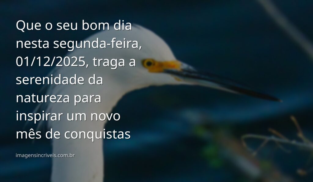 Paisagem serena com céu e água ao amanhecer, refletindo a paz e a esperança de um novo começo em Dezembro.