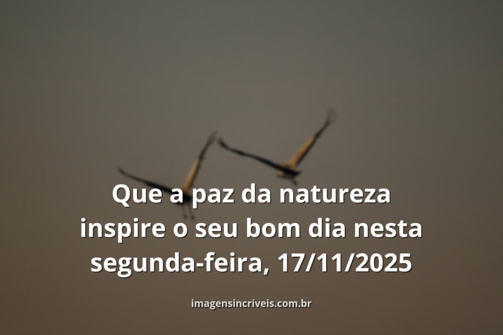 Céu sereno ao amanhecer refletido em águas calmas, transmitindo a paz e a tranquilidade para o início da semana.