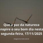 Céu sereno ao amanhecer refletido em águas calmas, transmitindo a paz e a tranquilidade para o início da semana.