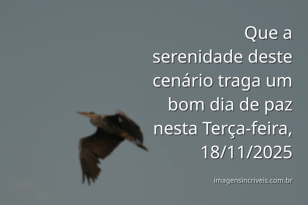 Paisagem serena de um lago com céu azul claro refletido na água, transmitindo uma sensação de paz profunda e calma matinal.