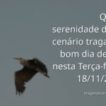 Paisagem serena de um lago com céu azul claro refletido na água, transmitindo uma sensação de paz profunda e calma matinal.
