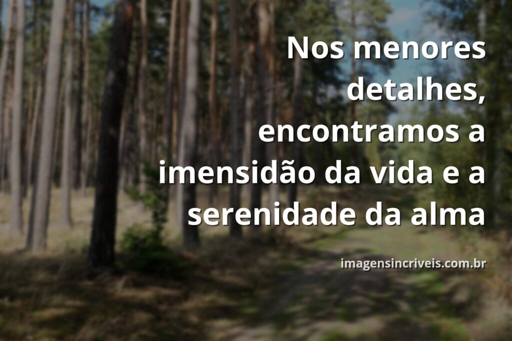 Céu sereno com nuvens suaves refletindo em águas calmas ao amanhecer, transmitindo paz e a beleza dos detalhes da natureza.