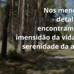 Céu sereno com nuvens suaves refletindo em águas calmas ao amanhecer, transmitindo paz e a beleza dos detalhes da natureza.