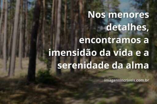 Céu sereno com nuvens suaves refletindo em águas calmas ao amanhecer, transmitindo paz e a beleza dos detalhes da natureza.