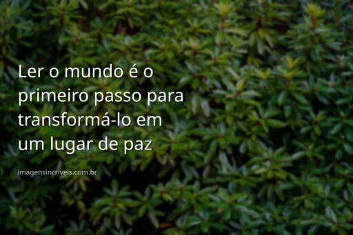 Paisagem serena de um lago calmo refletindo um céu azul claro, simbolizando a paz e a clareza que a alfabetização traz.