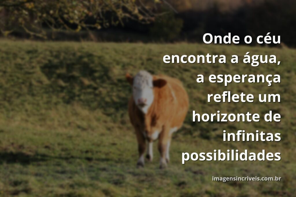 Céu vibrante ao amanhecer refletido sobre a superfície calma da água, evocando um profundo sentimento de paz, renovação e esperança.