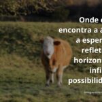 Céu vibrante ao amanhecer refletido sobre a superfície calma da água, evocando um profundo sentimento de paz, renovação e esperança.