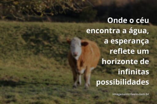 Céu vibrante ao amanhecer refletido sobre a superfície calma da água, evocando um profundo sentimento de paz, renovação e esperança.