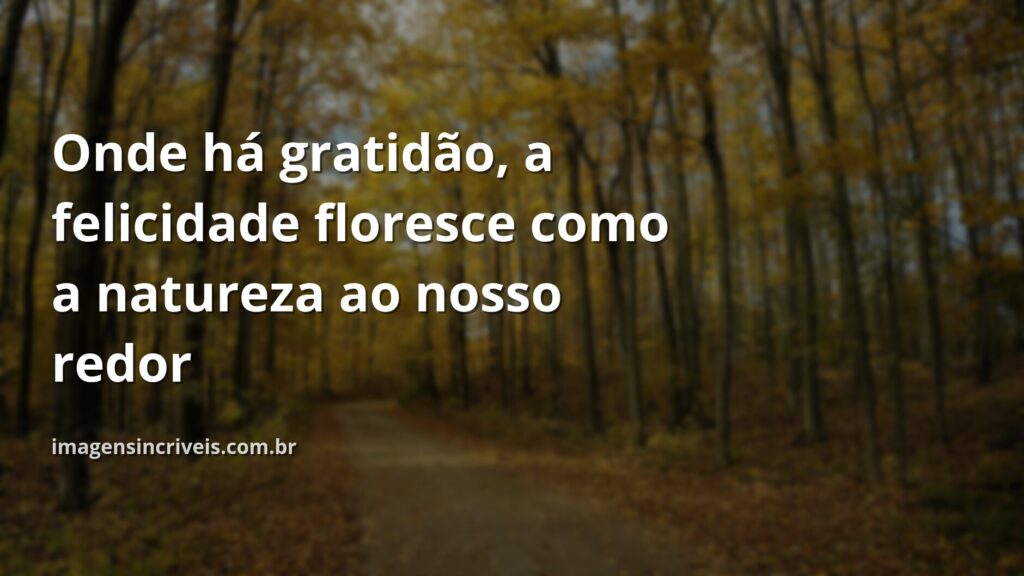 Paisagem serena com céu azul refletido em água calma, transmitindo um profundo sentimento de paz e gratidão pela natureza.