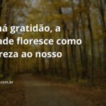 Paisagem serena com céu azul refletido em água calma, transmitindo um profundo sentimento de paz e gratidão pela natureza.
