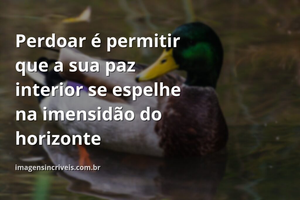 Céu azul e sereno refletido sobre a superfície calma da água, evocando um sentimento de paz, clareza e libertação através do perdão.