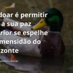 Céu azul e sereno refletido sobre a superfície calma da água, evocando um sentimento de paz, clareza e libertação através do perdão.