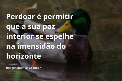 Céu azul e sereno refletido sobre a superfície calma da água, evocando um sentimento de paz, clareza e libertação através do perdão.