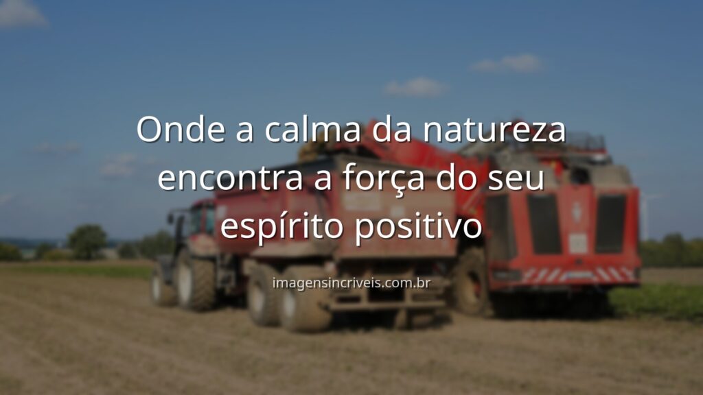 Céu azul refletido em um lago sereno, cercado por natureza verde, transmitindo uma sensação de paz, calma e otimismo.