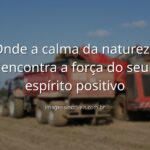 Céu azul refletido em um lago sereno, cercado por natureza verde, transmitindo uma sensação de paz, calma e otimismo.