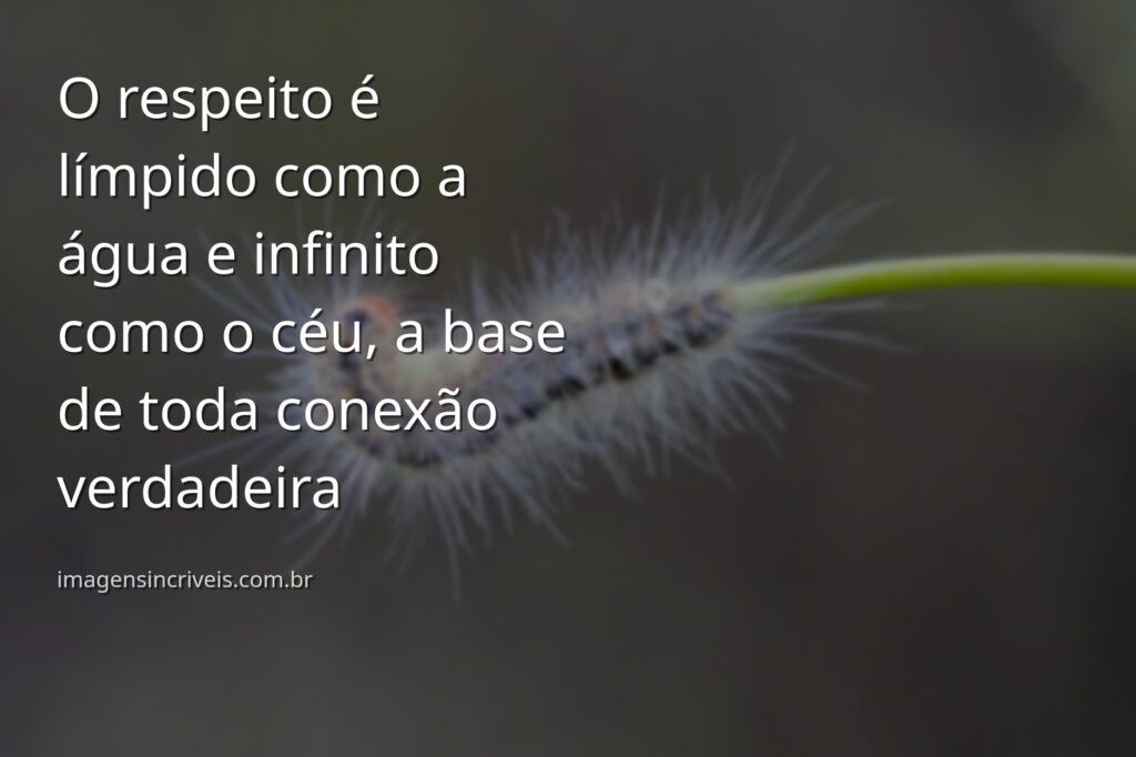 Paisagem serena com lago cristalino refletindo o céu azul e a natureza, evocando um sentimento de paz e respeito mútuo.
