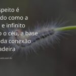 Paisagem serena com lago cristalino refletindo o céu azul e a natureza, evocando um sentimento de paz e respeito mútuo.