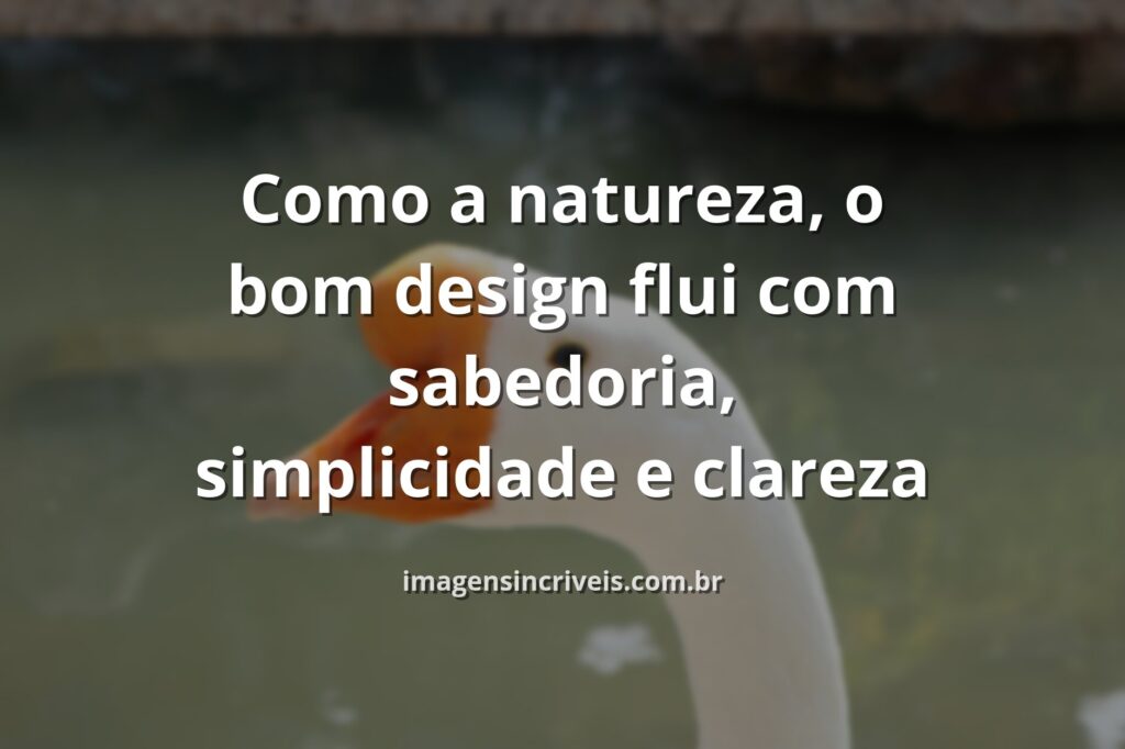 Paisagem serena com céu azul refletido na água calma, transmitindo a sabedoria e simplicidade do design inspirado na natureza.