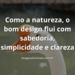 Paisagem serena com céu azul refletido na água calma, transmitindo a sabedoria e simplicidade do design inspirado na natureza.