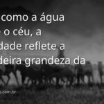 Vasto corpo de água calma refletindo um céu com nuvens suaves ao amanhecer, transmitindo uma sensação de paz e humildade.