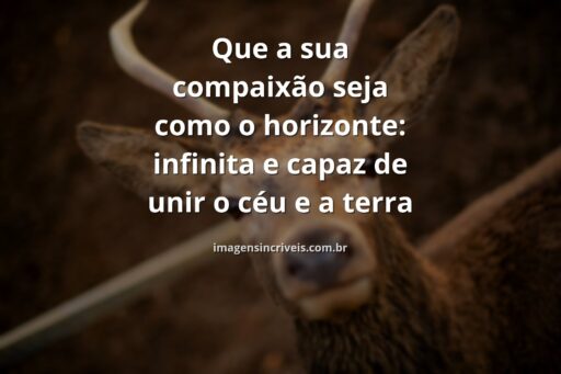 Céu azul e nuvens brancas refletindo em um lago sereno cercado por natureza, transmitindo a paz e a profundidade da compaixão.