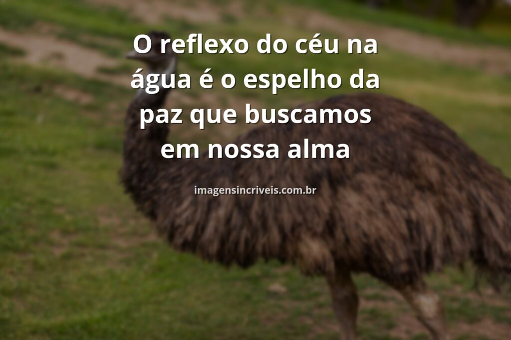 Paisagem serena de um lago espelhando um céu azul com nuvens suaves, transmitindo uma profunda sensação de paz e tranquilidade.