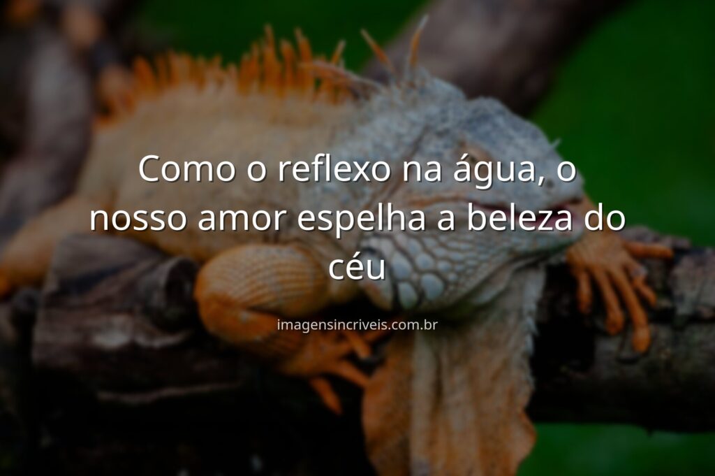 Paisagem serena com um lago calmo refletindo o céu azul. A imagem transmite paz e a promessa de um amor tranquilo e harmonioso.