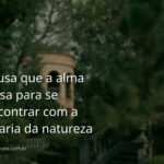 Paisagem serena de um lago com águas calmas refletindo o céu azul e montanhas ao fundo, transmitindo paz e tranquilidade de feriado.