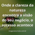 Céu azul claro refletido sobre um lago calmo, cercado por uma paisagem natural verdejante, evocando serenidade e foco.
