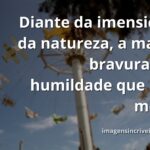 Vasto céu azul refletido em um lago calmo, cercado por uma natureza serena, transmitindo uma sensação de paz e humildade.