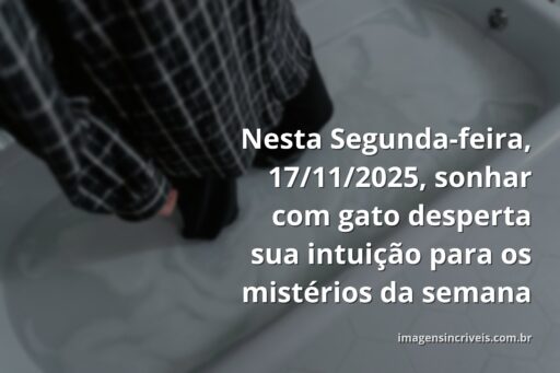 sonhar-com-gato-17-11-2025