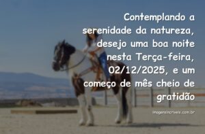 Céu sereno ao entardecer refletido em águas calmas de um lago, transmitindo uma sensação de paz, gratidão e esperança.
