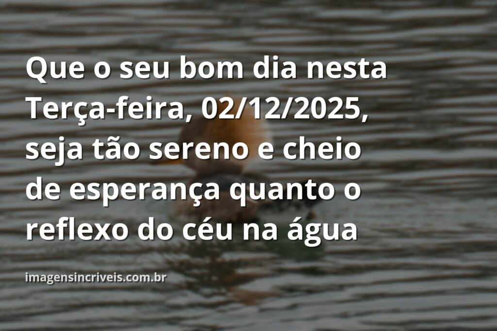 Céu azul com nuvens brancas refletido em um lago tranquilo ao amanhecer, inspirando paz e reflexão para o começo do mês de dezembro.