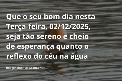 Céu azul com nuvens brancas refletido em um lago tranquilo ao amanhecer, inspirando paz e reflexão para o começo do mês de dezembro.