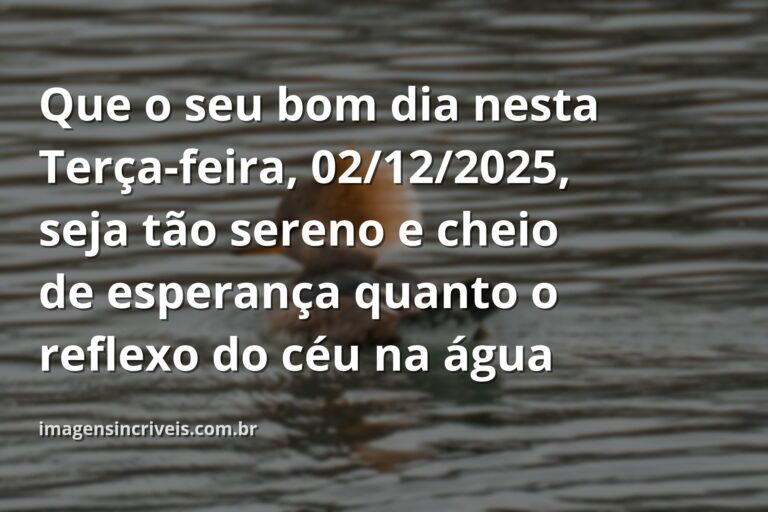 Céu azul com nuvens brancas refletido em um lago tranquilo ao amanhecer, inspirando paz e reflexão para o começo do mês de dezembro.