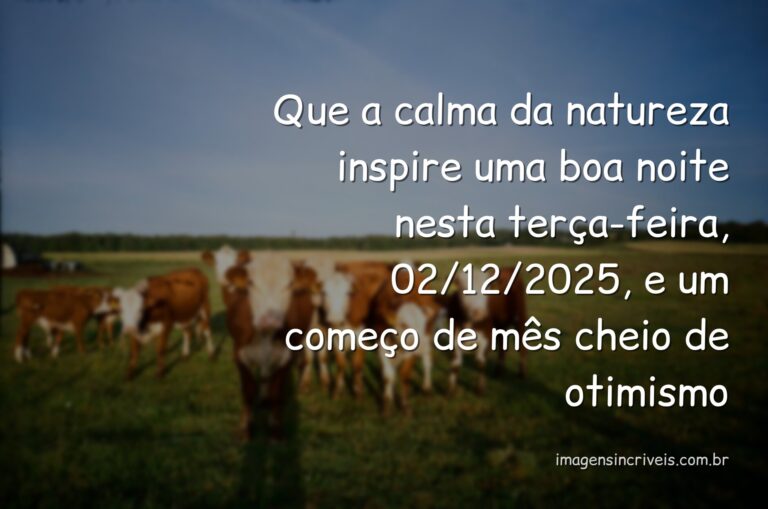 Céu estrelado refletido em um lago calmo ao anoitecer, transmitindo paz e positividade para o início de dezembro.
