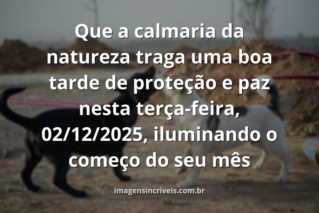 Céu vasto e águas tranquilas refletindo a luz do sol, evocando um sentimento de paz e proteção para uma tarde de início de mês.