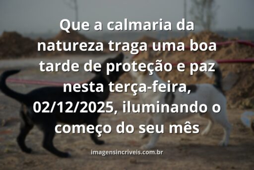 Céu vasto e águas tranquilas refletindo a luz do sol, evocando um sentimento de paz e proteção para uma tarde de início de mês.