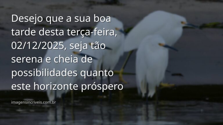 Paisagem serena de um lago refletindo o céu azul com nuvens, evocando um sentimento de paz, prosperidade e novos começos.