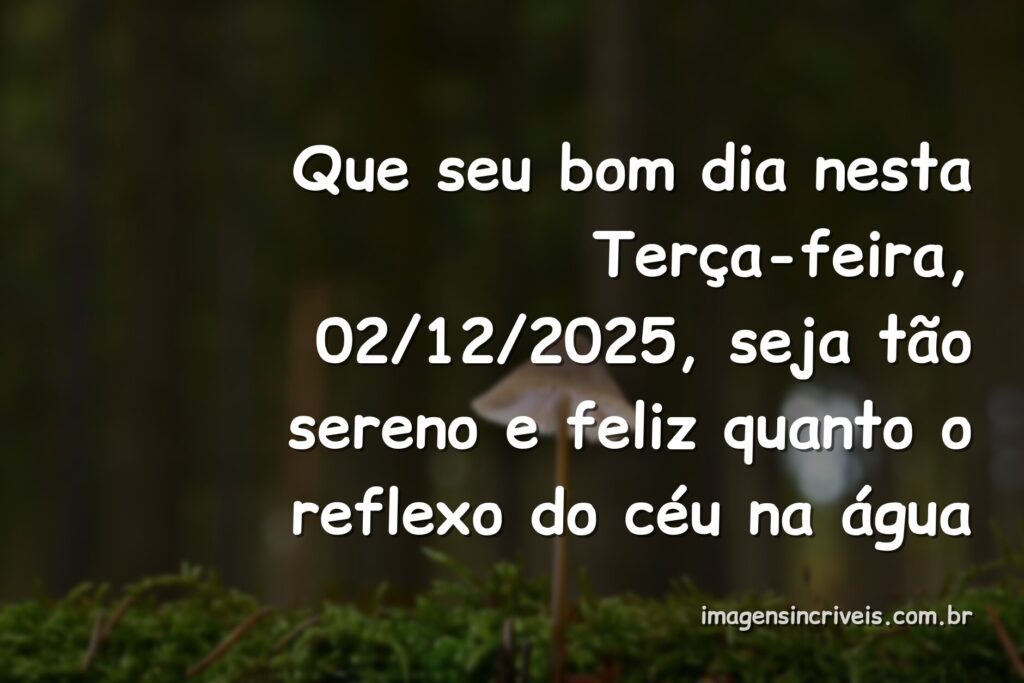 Céu azul com nuvens brancas refletido perfeitamente na superfície calma da água, evocando um sentimento de paz e felicidade.