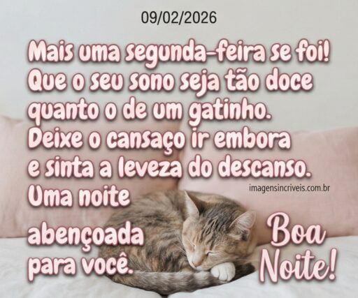 boa-noite-segunda-feira-09-02-2026-part-5