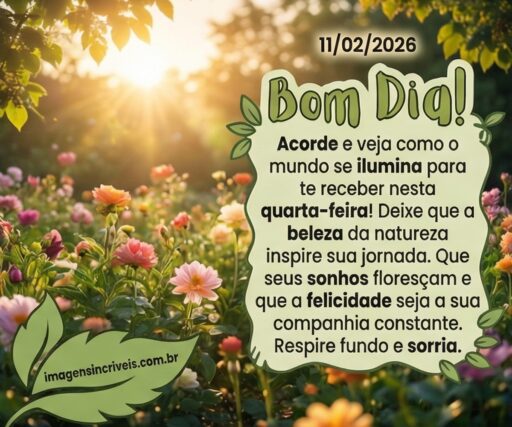 bom-dia-quarta-feira-11-02-2026-part-2