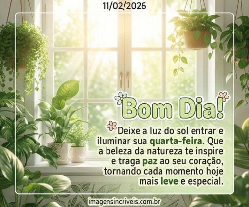 bom-dia-quarta-feira-11-02-2026-part-2