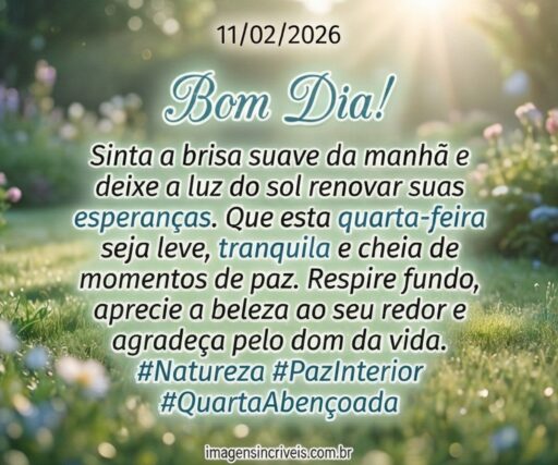 bom-dia-quarta-feira-11-02-2026-part-2