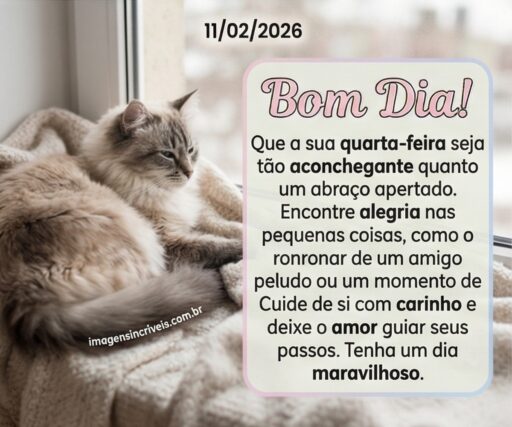 bom-dia-quarta-feira-11-02-2026-part-4