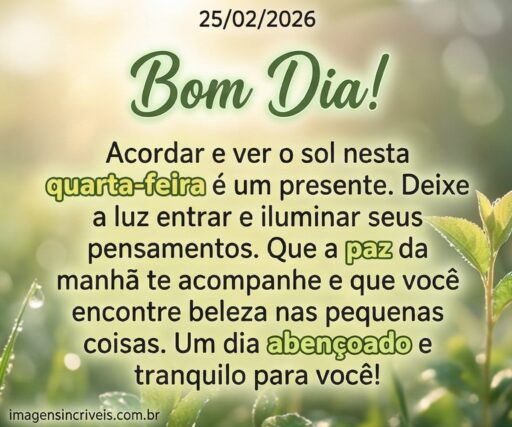 bom-dia-quarta-feira-25-02-2026-part-3