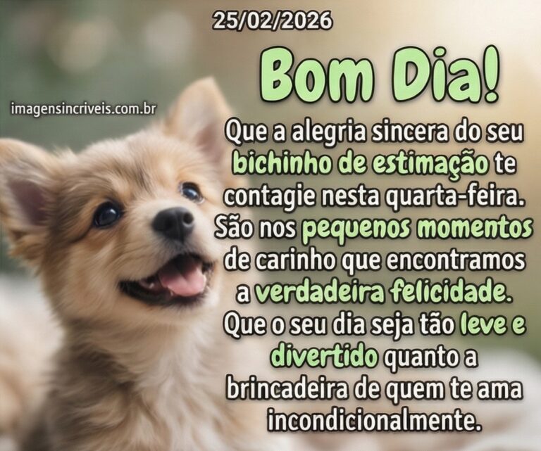 Bom Dia Quarta Feira 25 02 2026
