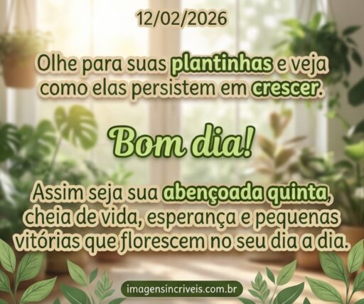 bom-dia-quinta-feira-12-02-2026-part-2