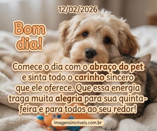 bom-dia-quinta-feira-12-02-2026-part-4