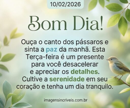 bom-dia-terca-feira-10-02-2026-part-3